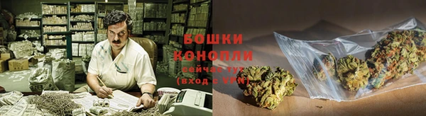 гидра Белокуриха