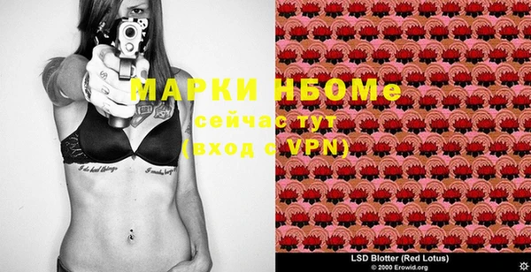 гидра Белокуриха