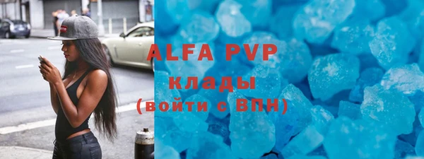гидра Белокуриха
