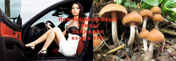 ешки Беломорск