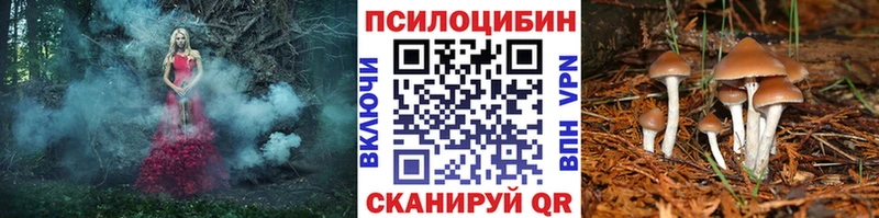 Галлюциногенные грибы Cubensis  купить наркоту  hydra как зайти  Вышний Волочёк 